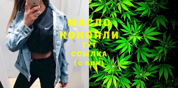 молекула духа Балахна