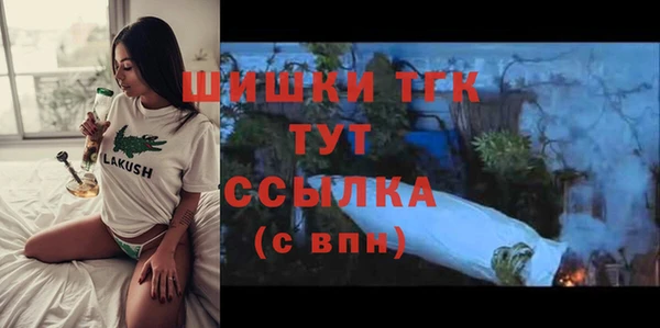 молекула духа Балахна