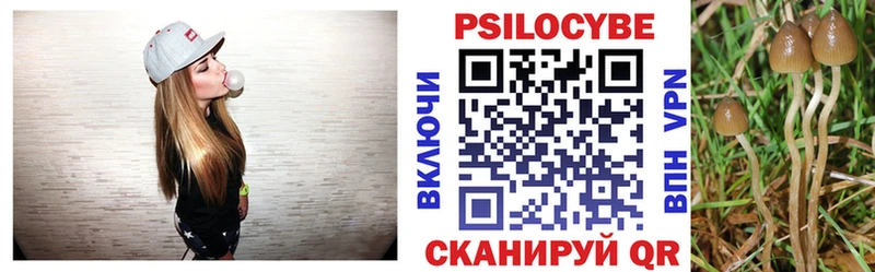 Псилоцибиновые грибы ЛСД  даркнет сайт  Ершов 