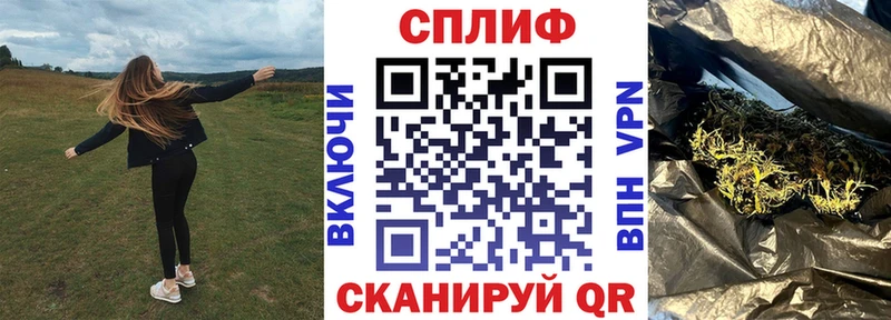 где найти Ершов Канабис гибрид